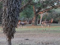 Marion, Romane South Africa 2014 (67 of 80) : Bundu lodge, Marion visit